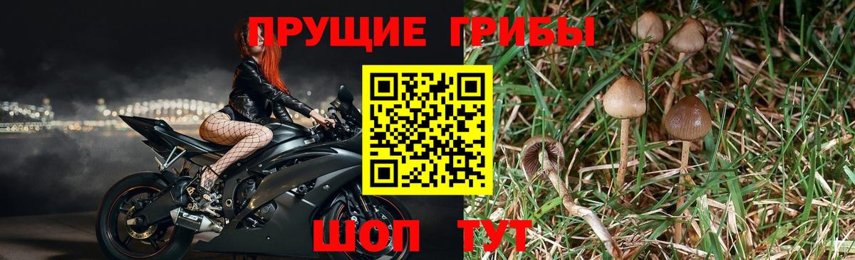 Нефтекамск  Псилоцибиновые грибы мицелий  Вход с VPN 